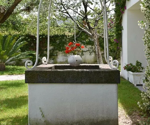 Annalaura * Ischia